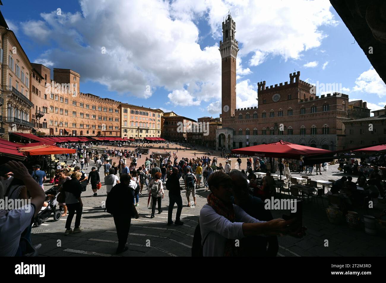 Piazza del Campo und Torre del Mangia, Siena, Toskana, Italien Banque D'Images