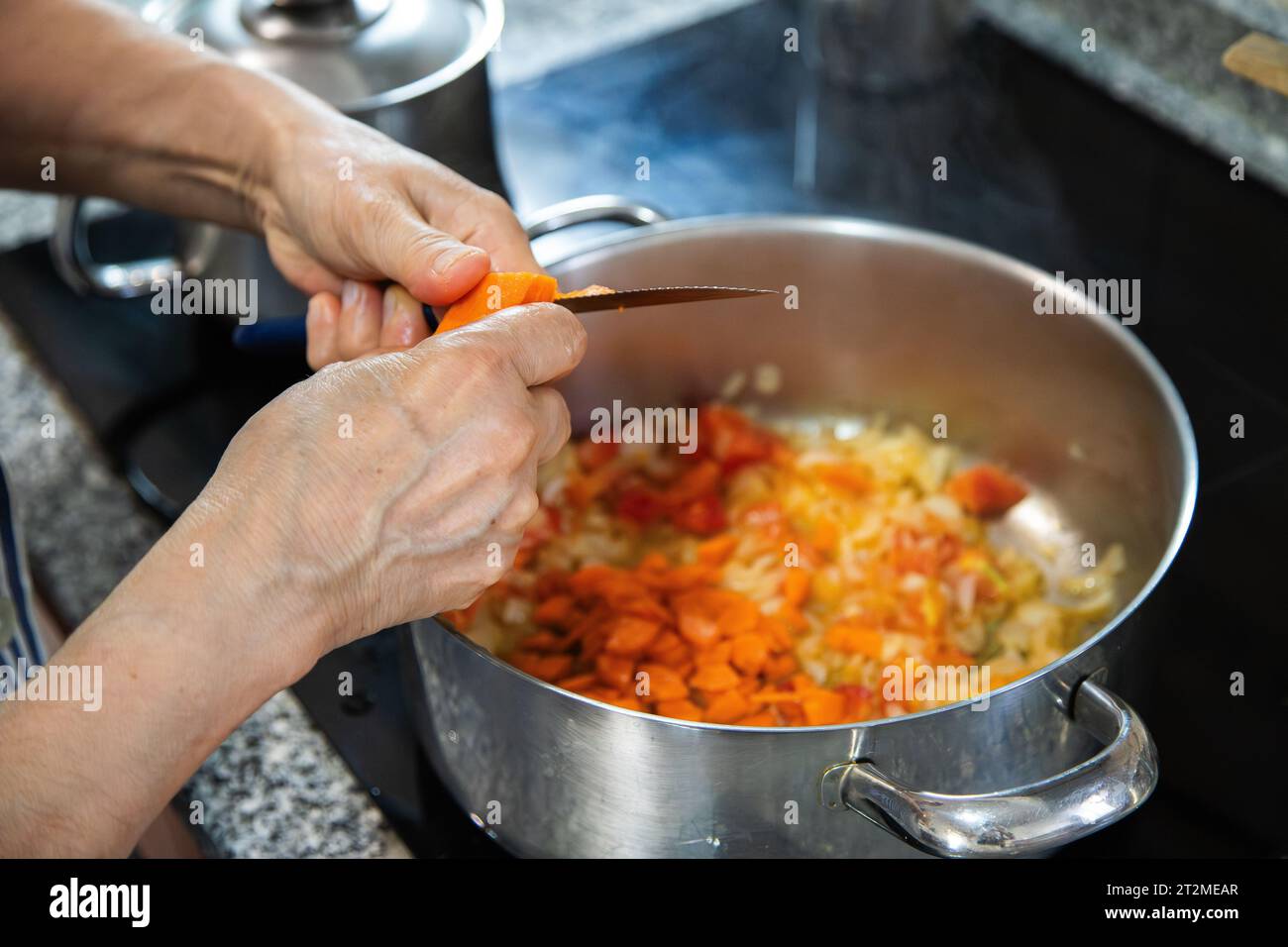 Détail d'une personne cuisinant des aliments sur la table de cuisson électrique avec des casseroles et coupant les aliments pour faire le ragoût. Concept ménage, cuisine à la maison. Banque D'Images