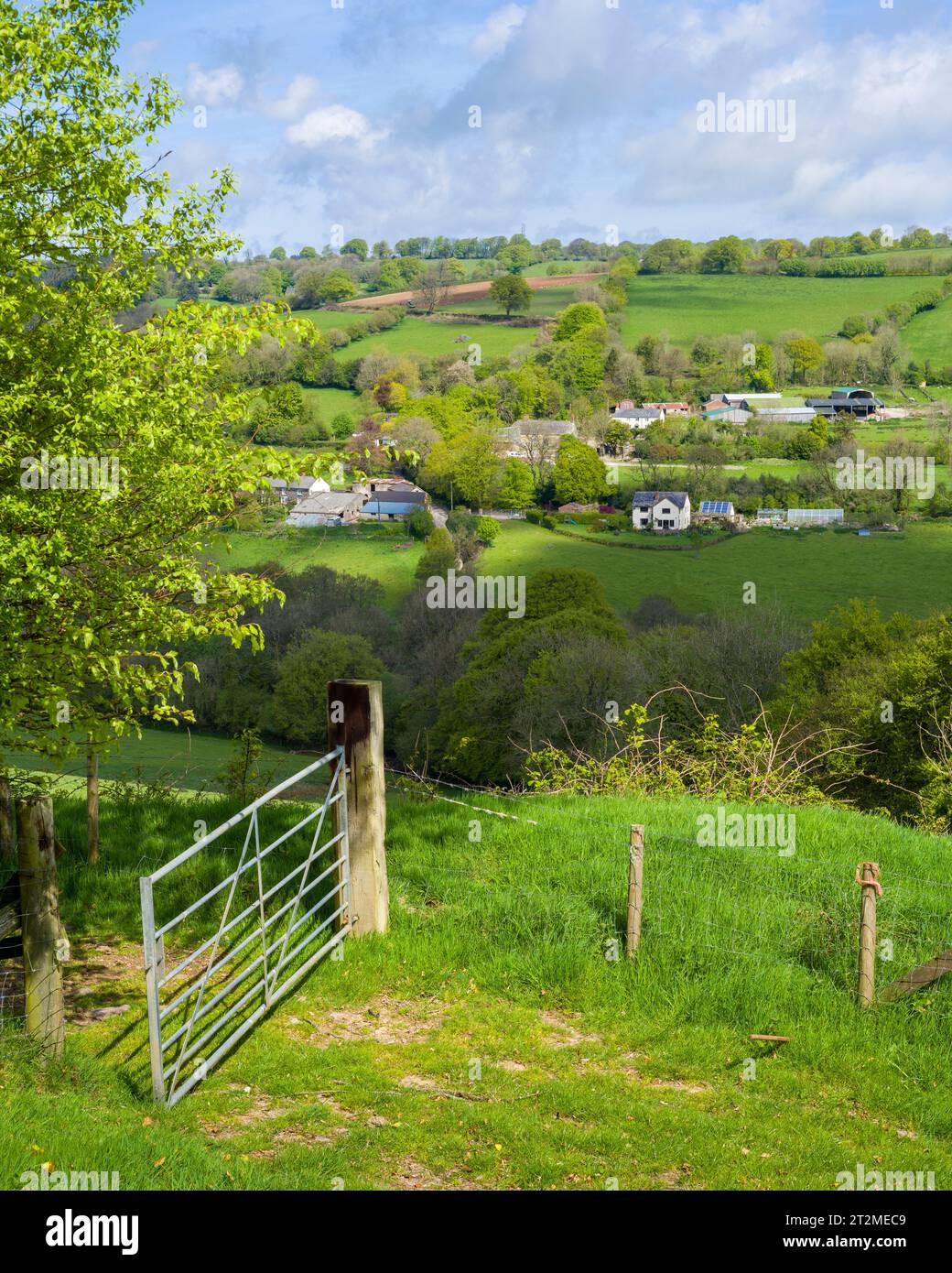 Higher, Middle et Lower Brown Farms près de Clatworthy dans les collines Brendon, Somerset, Angleterre. Banque D'Images