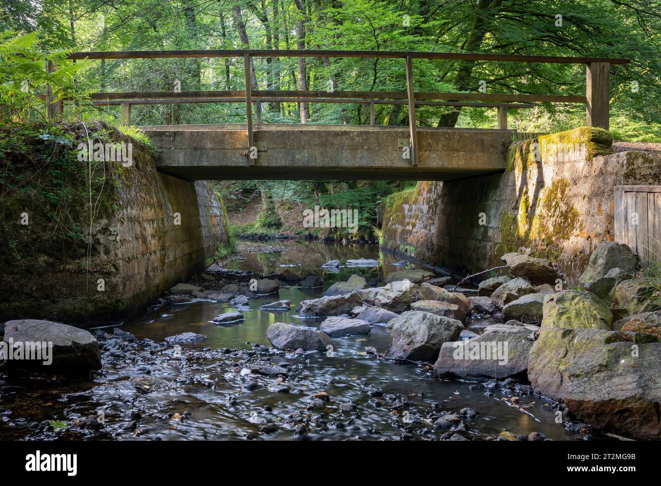 Un petit pont sur une rivière dans la New Forest, Hampshire, Royaume-Uni. Ses murs de briques sont éclairés par une lumière douce tôt le matin. Flux d'eau peu profonds et lents Banque D'Images