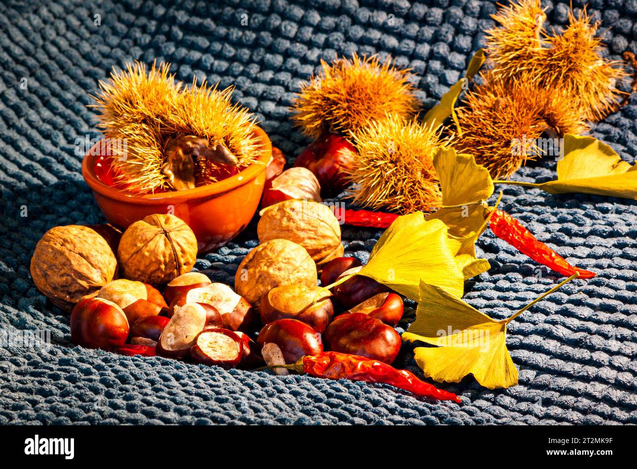 Composition de nature morte d'automne avec des feuilles jaunes, des piments rouges, des châtaignes, des noix, des châtaignes piquées et un pot orange rustique Banque D'Images