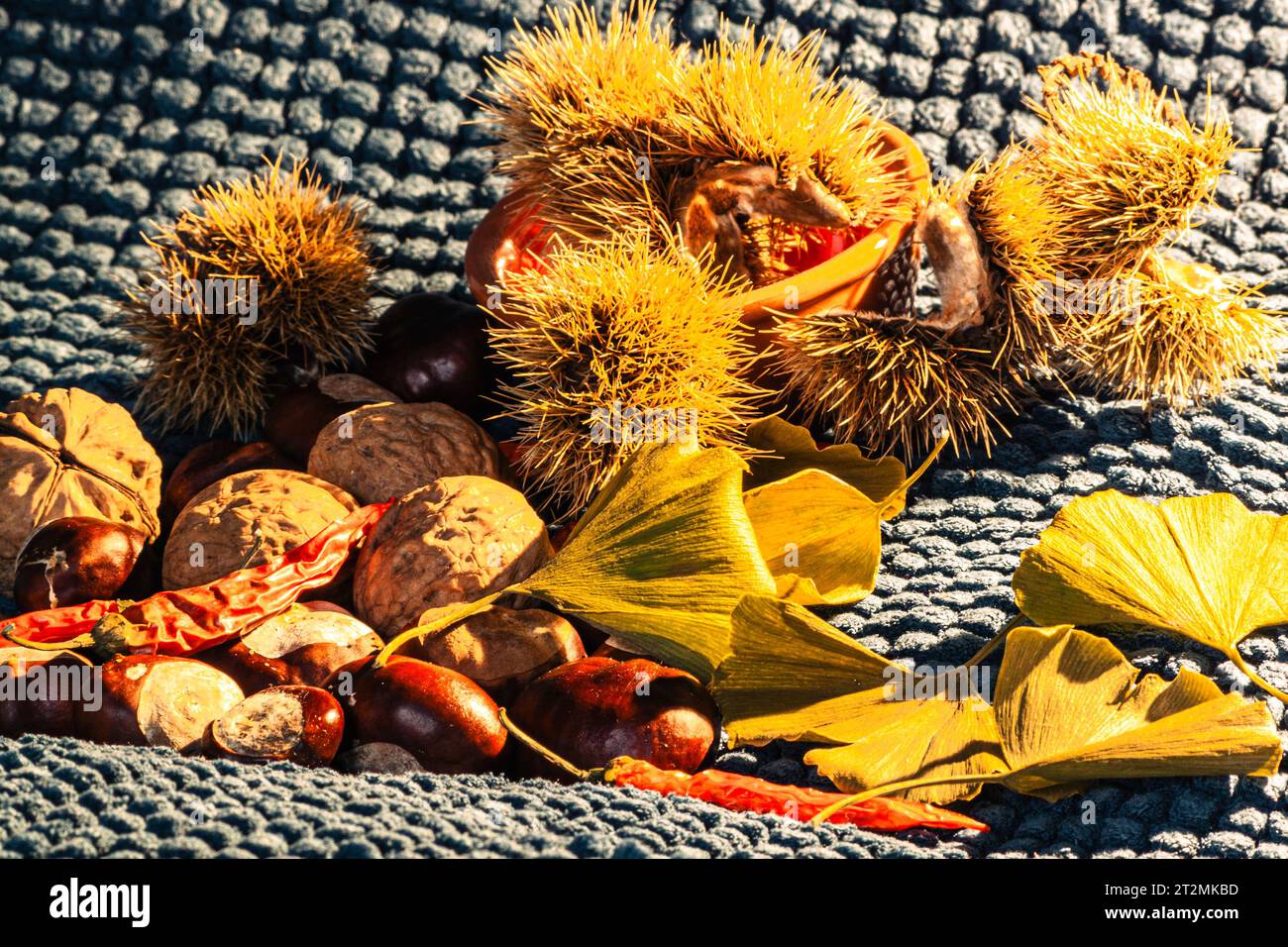 Composition de nature morte d'automne avec des feuilles jaunes, des piments rouges, des châtaignes, des noix, des châtaignes piquées et un pot orange rustique Banque D'Images