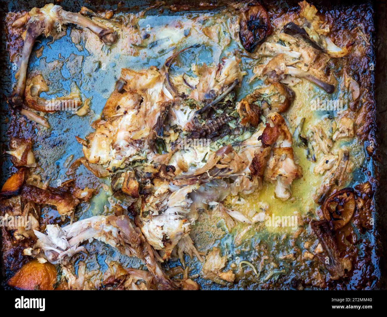 poulet rôti sur un plateau en métal après avoir mangé les restes de viande, les os de la peau et les graisses Banque D'Images