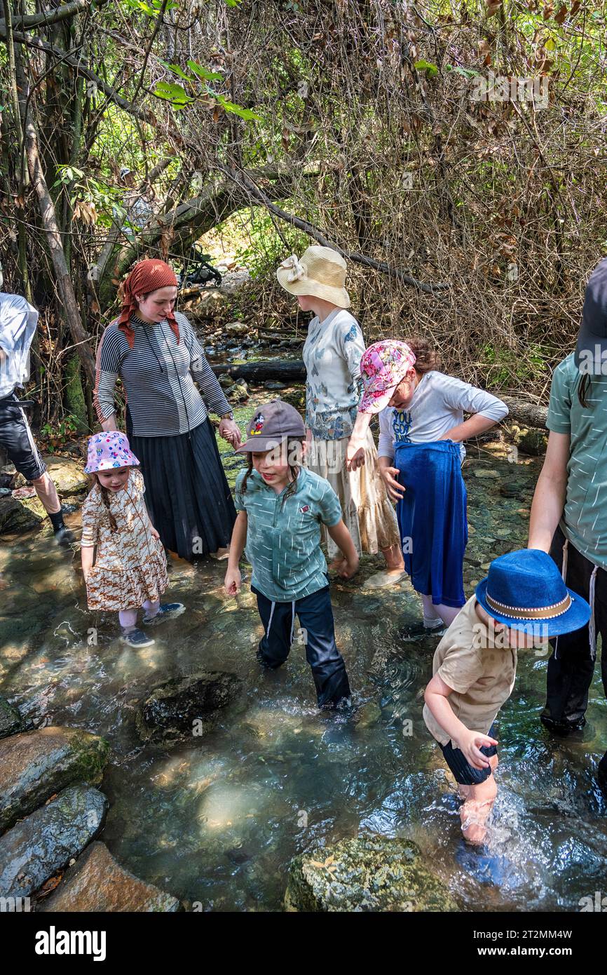 Tel Dan, Israël - 14 août 2023 : une famille israélienne aime se détendre et jouer dans un ruisseau à tel Dan, Israël. Banque D'Images
