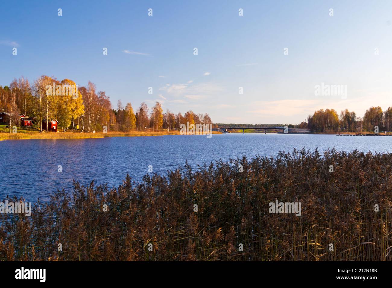 Paysage d'automne en suède Banque D'Images