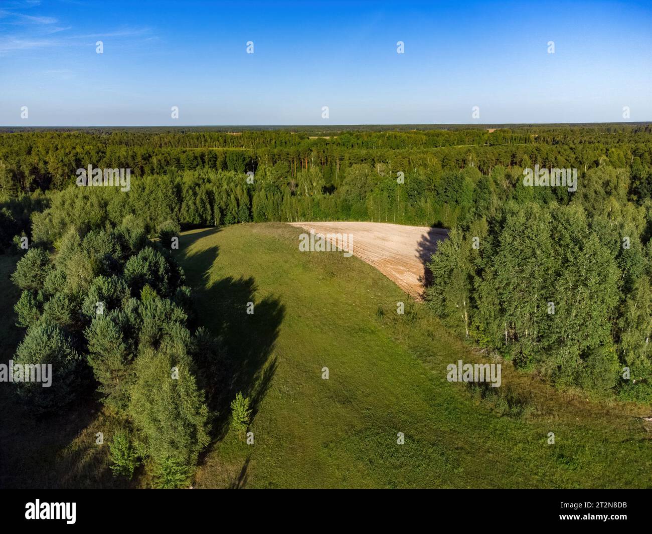 Vue d'en haut, au-dessus des arbres, des champs lituaniens et de la région montagneuse. Banque D'Images