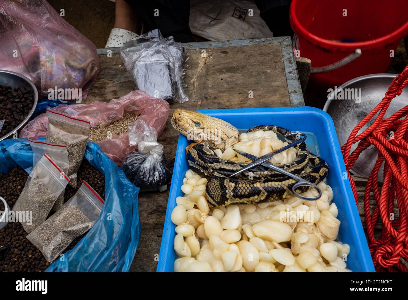 Un serpent Phyton comme nourriture au marché de bac Ha au Nord Vietnam Banque D'Images