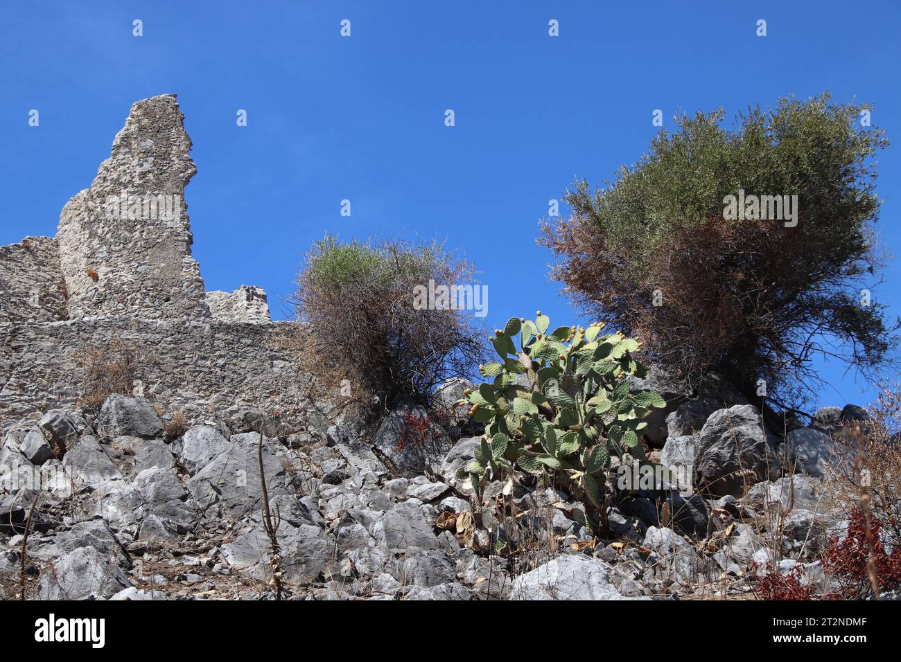 Un aperçu des ruines du Mausolée de Tredoliche. Paysage des ruines de Cirella, un village abandonné depuis un siècle dans la région de Calabre. Banque D'Images