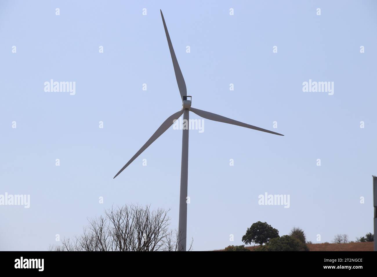 Une rangée d'éoliennes générant de l'énergie verte. Banque D'Images