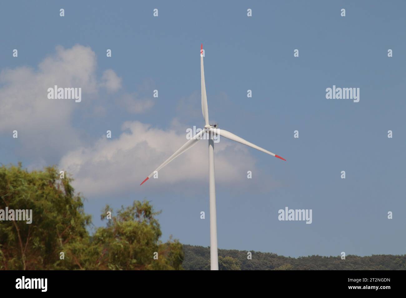 Une rangée d'éoliennes générant de l'énergie verte. Banque D'Images