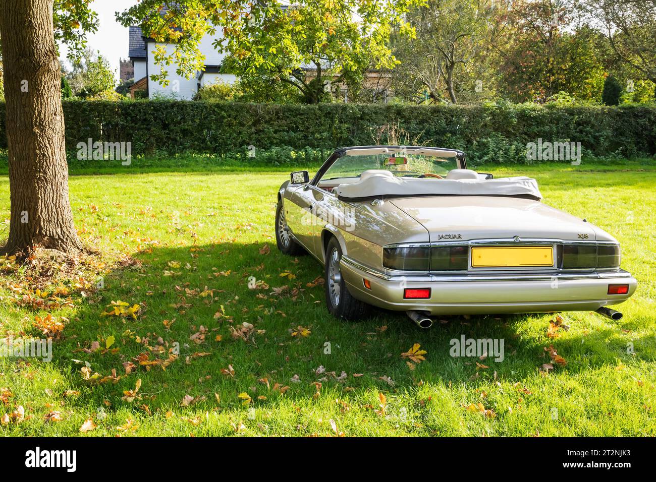 Vue arrière d'une Jaguar XJS décapotable avec top down dans un champ de campagne en automne Banque D'Images