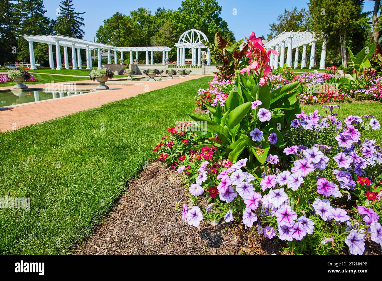 Magnifiques fleurs au Lakeside Park près des piscines et des treillis blancs et pergola Banque D'Images