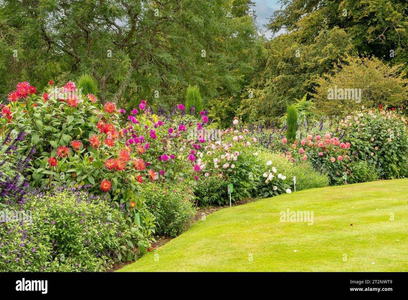 Jardins à Bicton Park Botanical Gardens, Budleigh Salterton, Devon, Angleterre Banque D'Images