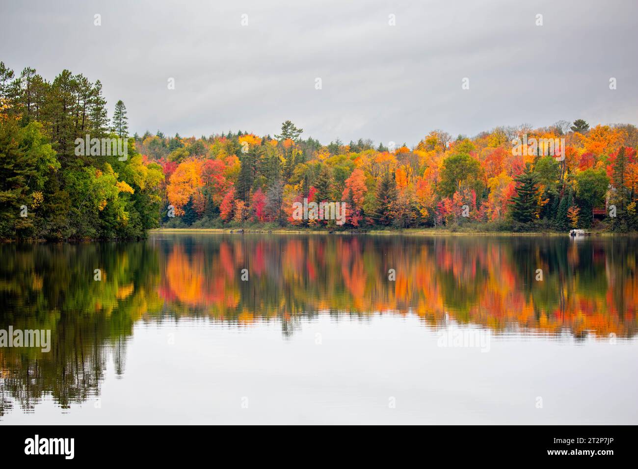 Arbres d'automne colorés sur le lac des chutes à Mercer, Wisconsin, horizontal Banque D'Images