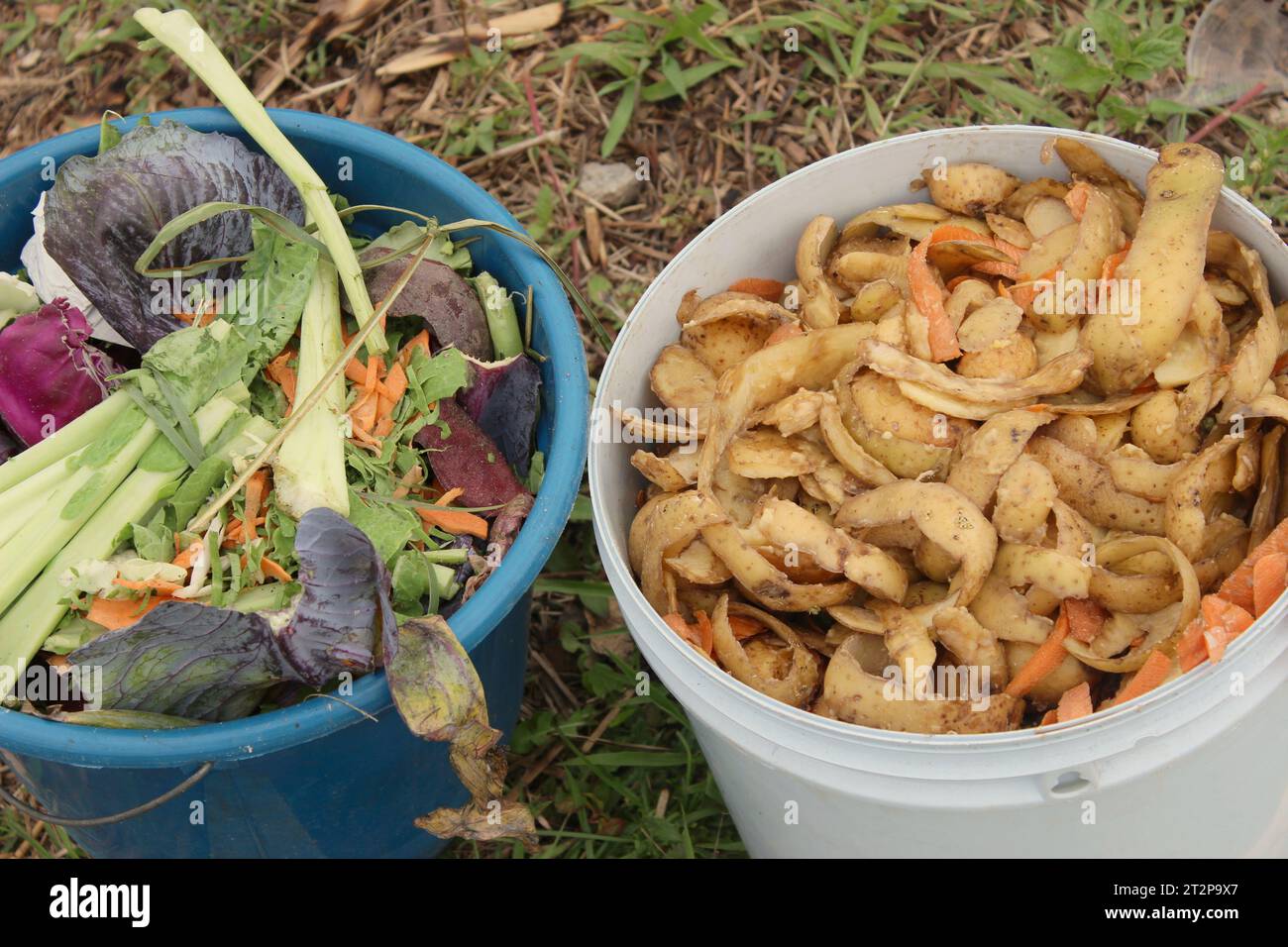 Seaux avec déchets organiques, collecte sélective des restes de légumes pour le compostage et la production d'engrais. Banque D'Images