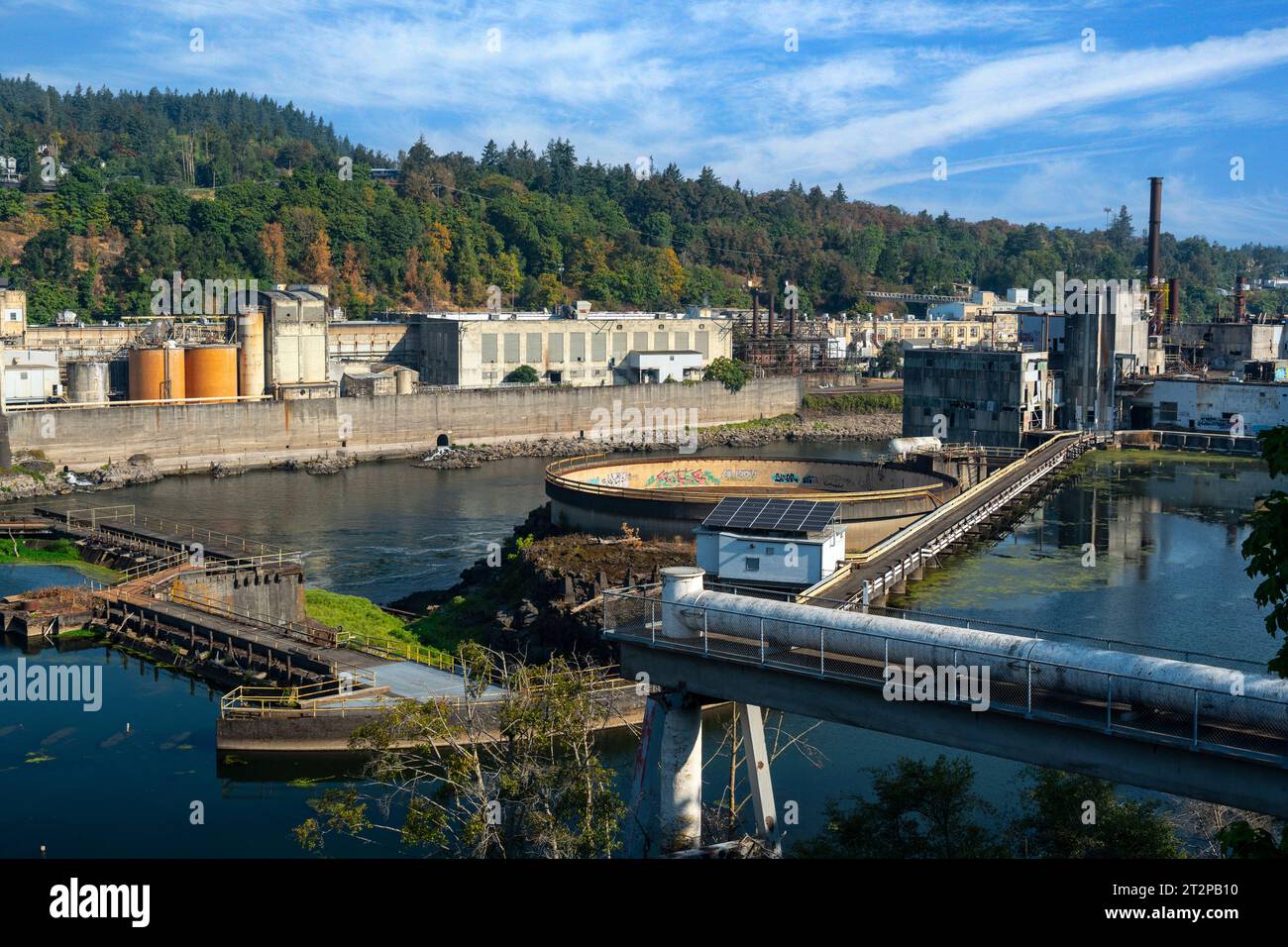 Willamette Falls Banque D'Images