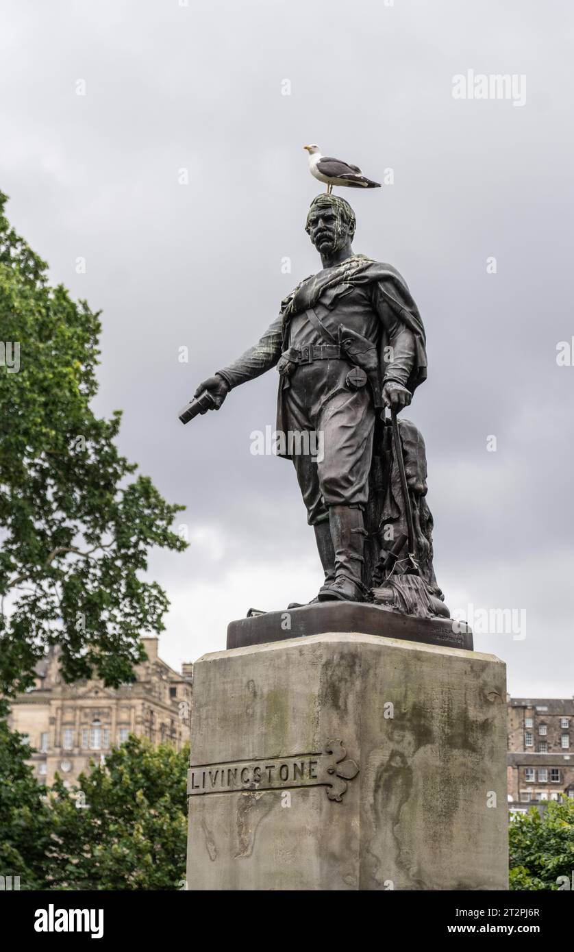 La statue de David Livingstone avec une mouette perchée sur sa tête, East Princes Street Garden, Édimbourg, Écosse Banque D'Images