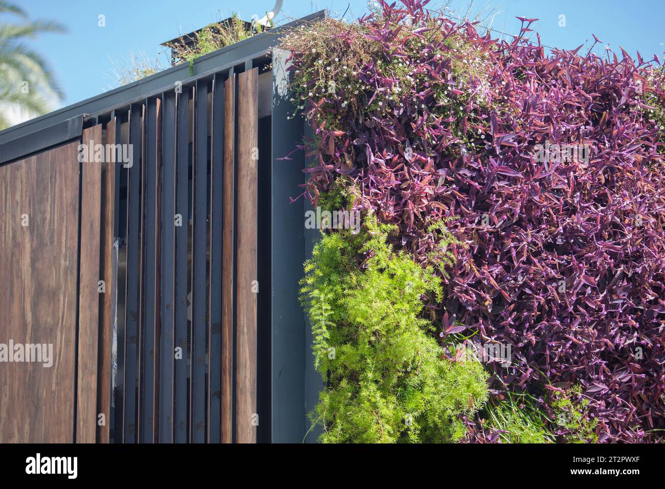 Jardin extérieur vertical couvrant coin bois et métal. Concept d'architecture durable Banque D'Images