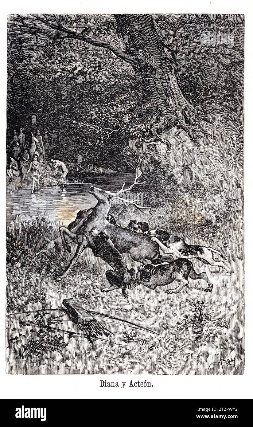 Diana y Acteon de Manuel Ángel Álvarez (1855-1921) illustrations de la Mitologia de Saturnina Calleja, Madrid, 1892 Banque D'Images