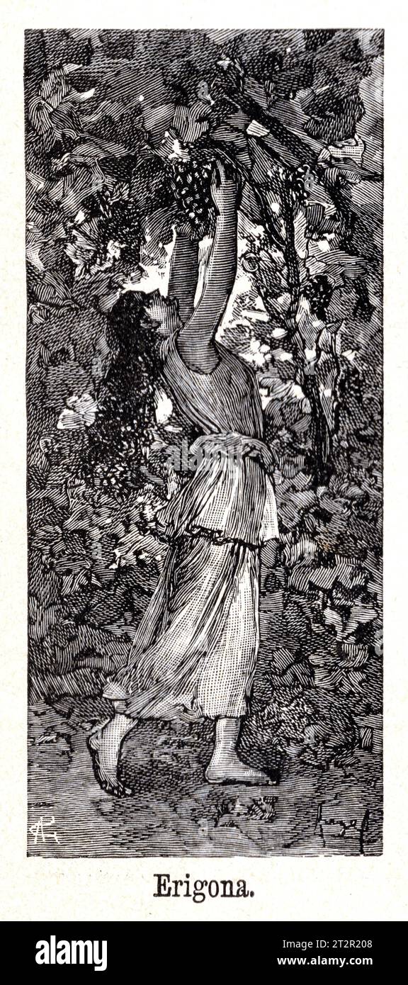 Erigona -Manuel Ángel Álvarez (1855-1921) illustrations de la Mitologia de Saturnina Calleja, Madrid, 1892 Banque D'Images