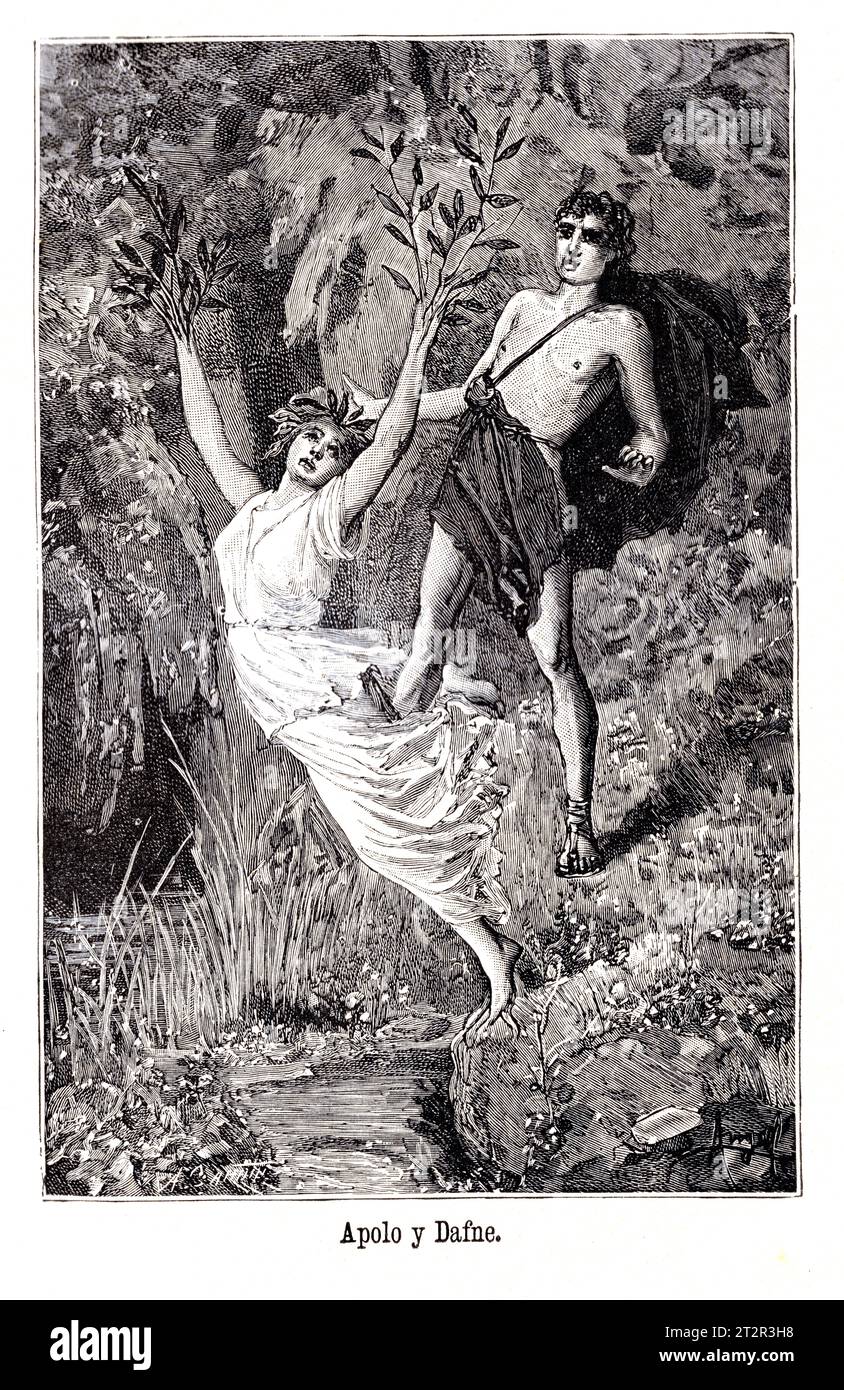 Apolo y Dafne de Manuel Ángel Álvarez (1855-1921) illustrations de la Mitologia de Saturnina Calleja, Madrid, 1892 Banque D'Images