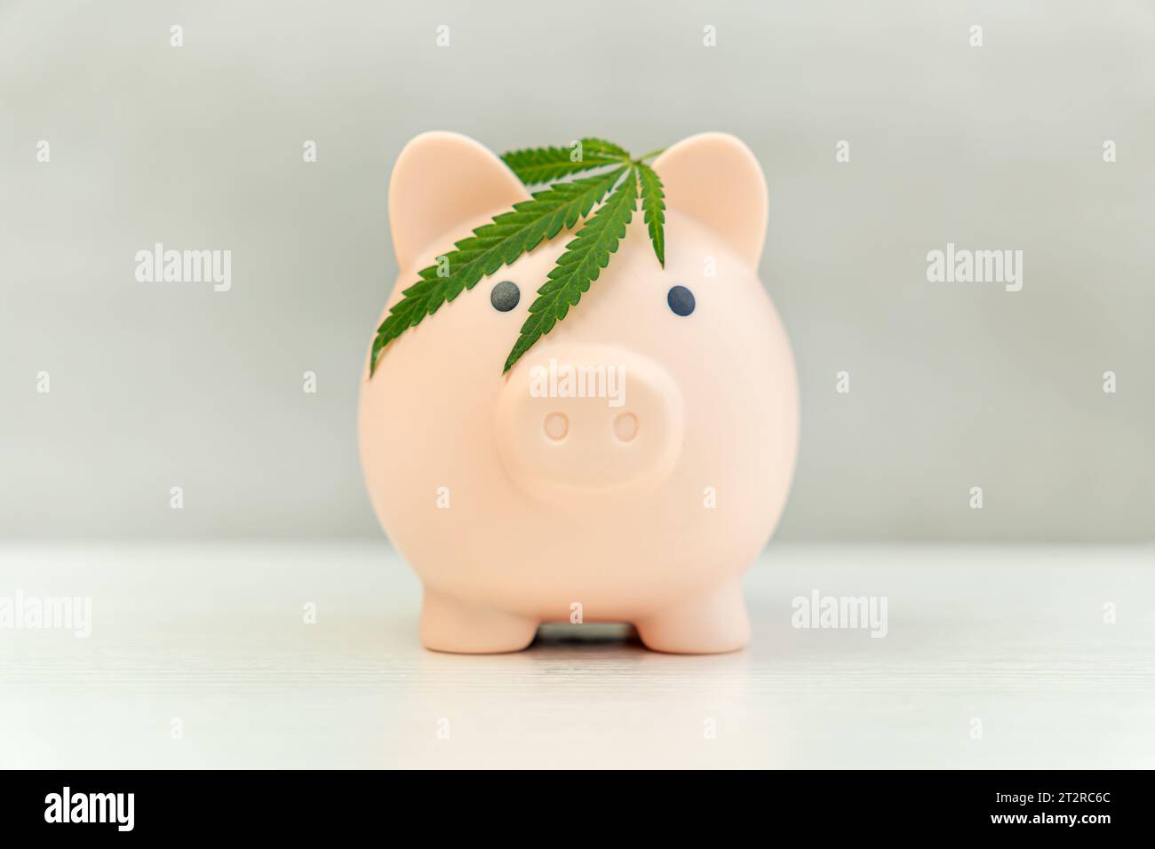 dépenser de l'argent en médicaments. Profitant de la vente de marijuana, Une tirelire sur un fond de bois avec une feuille de marijuana Banque D'Images