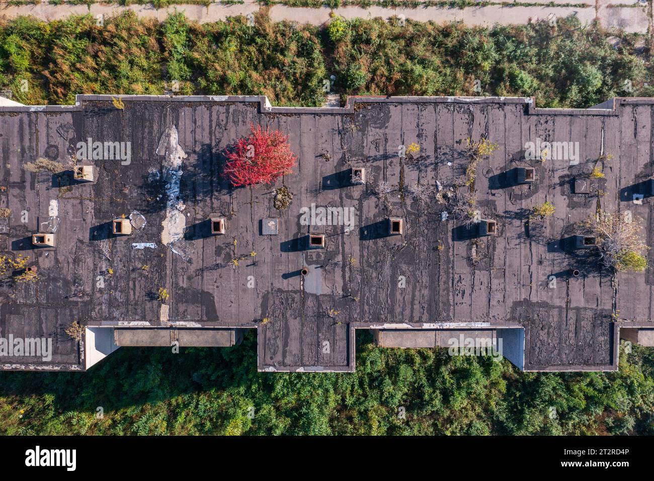 Szentkiralyszabadja, Hongrie - vue aérienne sur un quartier résidentiel abandonné, ressemble à une ville fantôme apocalyptique. Banque D'Images