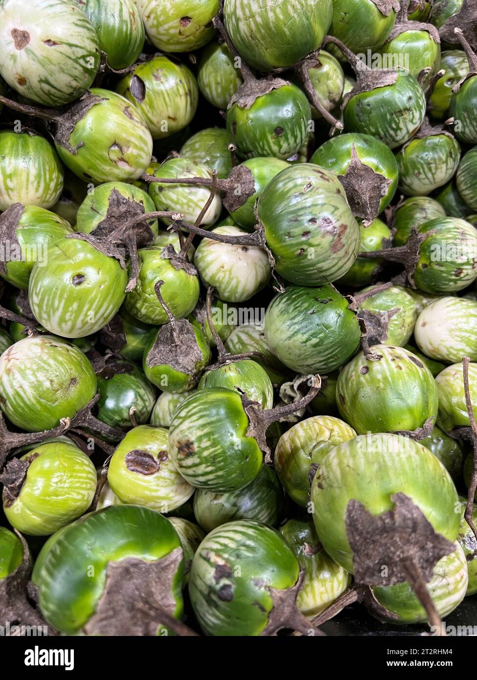 Gros plan d'un bac d'aubergines thaïlandaises crues. Banque D'Images