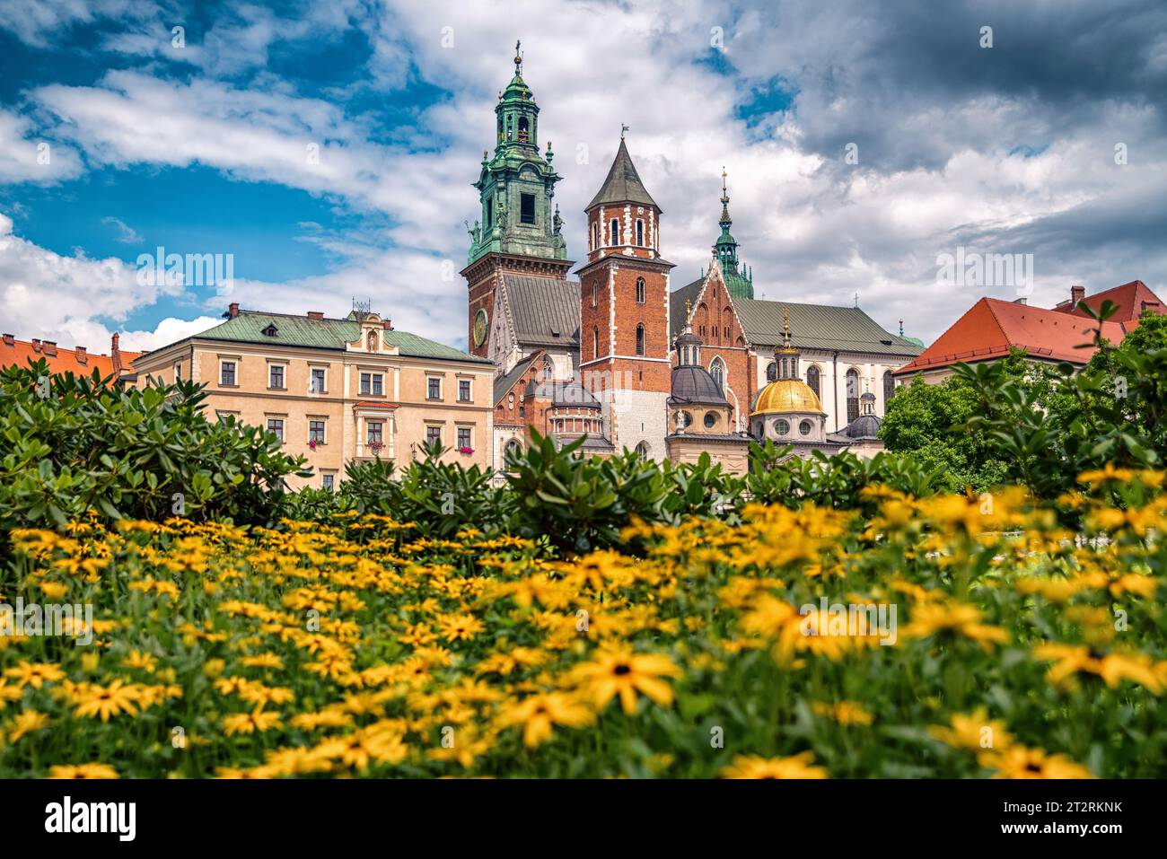 Château royal et cathédrale de Wawel à Cracovie, Pologne. Banque D'Images