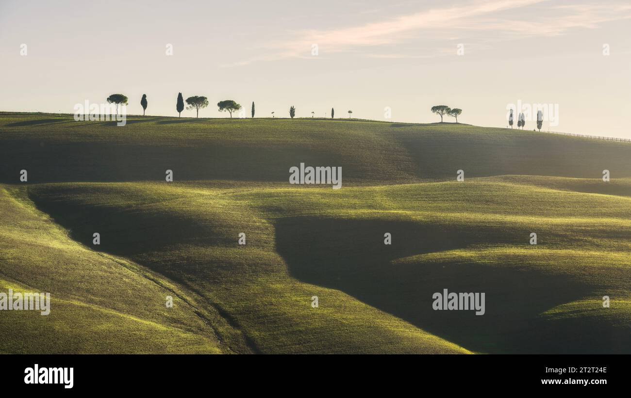 Collines ondulantes, cyprès et pins au sommet de la colline au coucher du soleil.Torrenieri, Val d'Orcia, Sienne, Toscane, Italie Banque D'Images