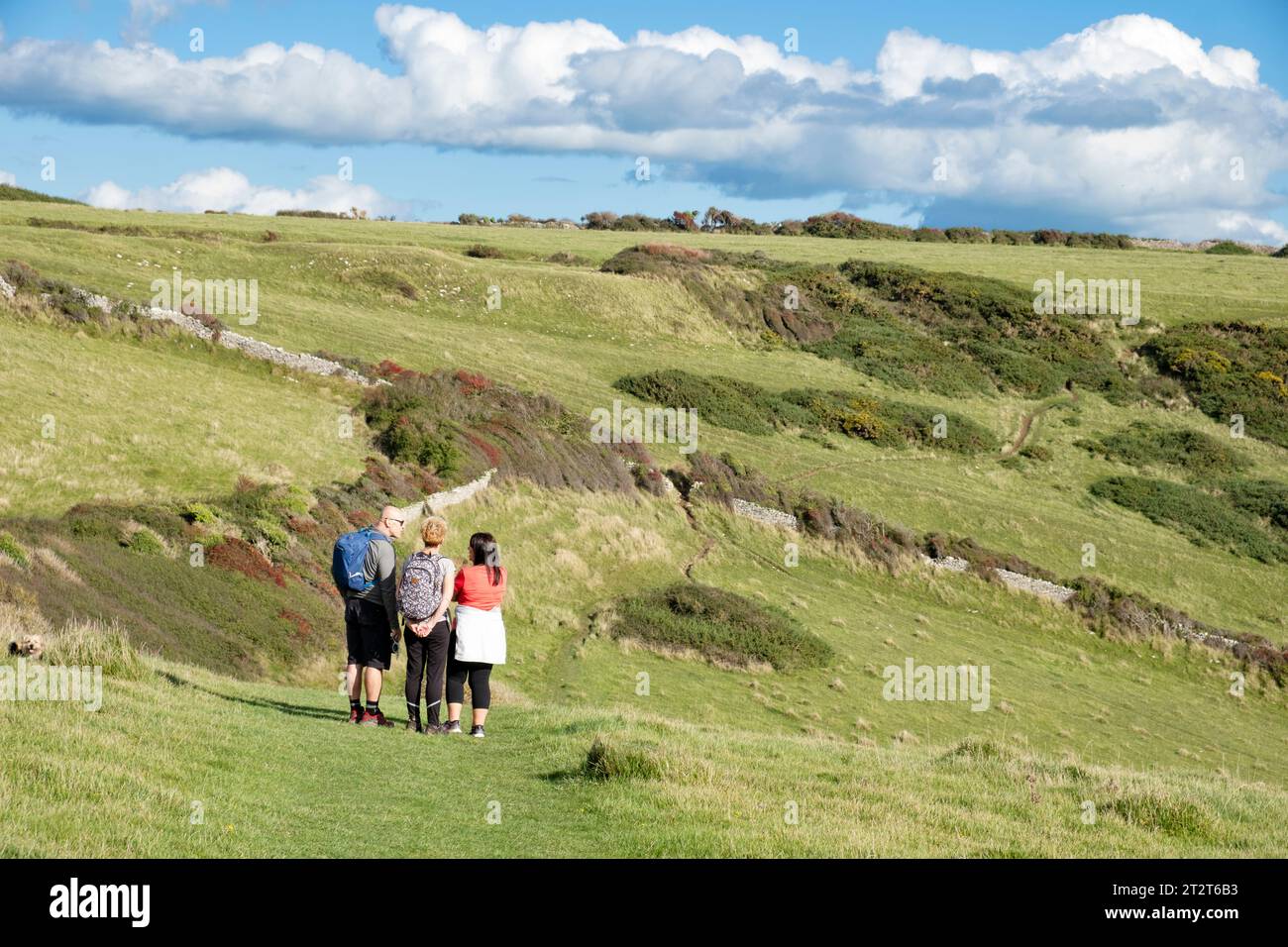 Un petit groupe de marcheurs flânant sur l'île de Purbeck, Dorset en suivant le chemin de la côte sud-ouest. Le groupe se compose de randonneurs masculins et féminins Banque D'Images