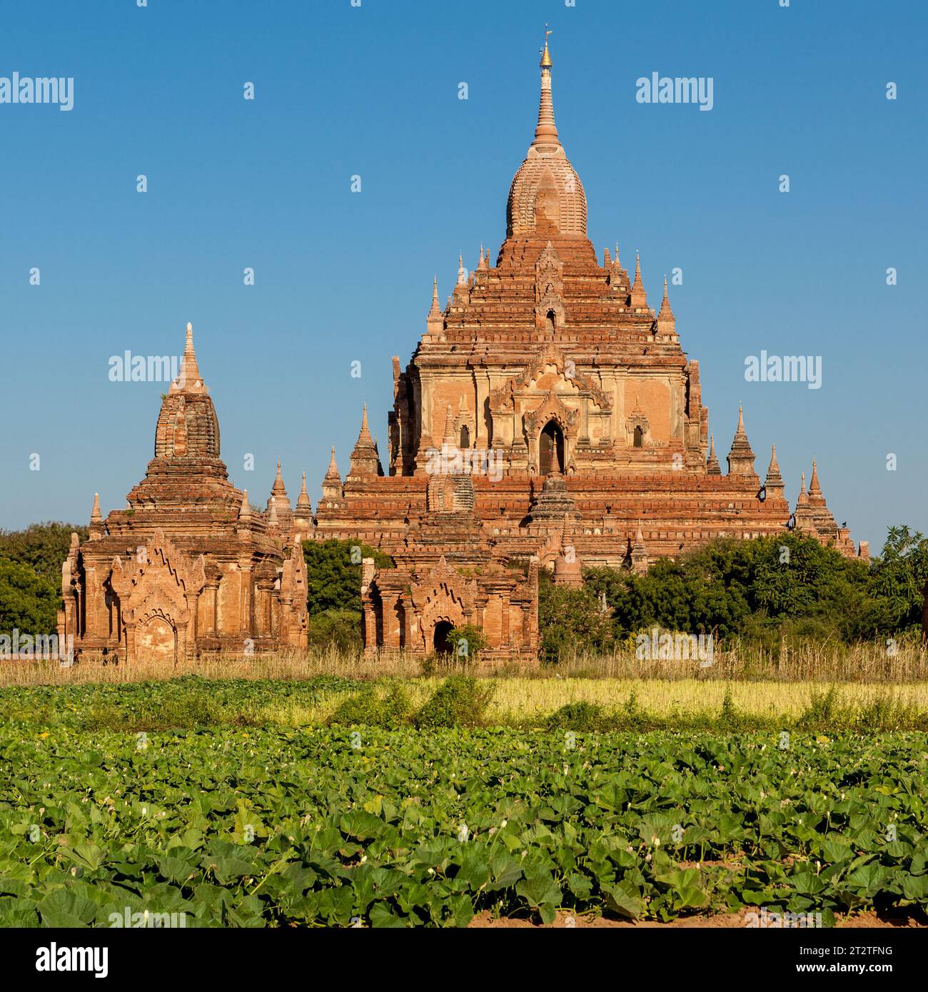 Vieux temple birman Brick. Pagode bouddhiste à Bagan, Myanmar. Banque D'Images