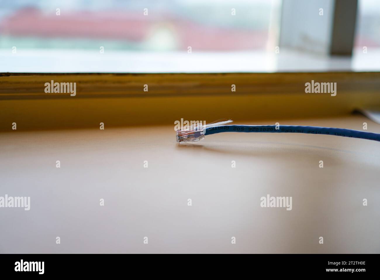 Gros plan haute résolution du câble LAN et du connecteur RJ45 pour une ...