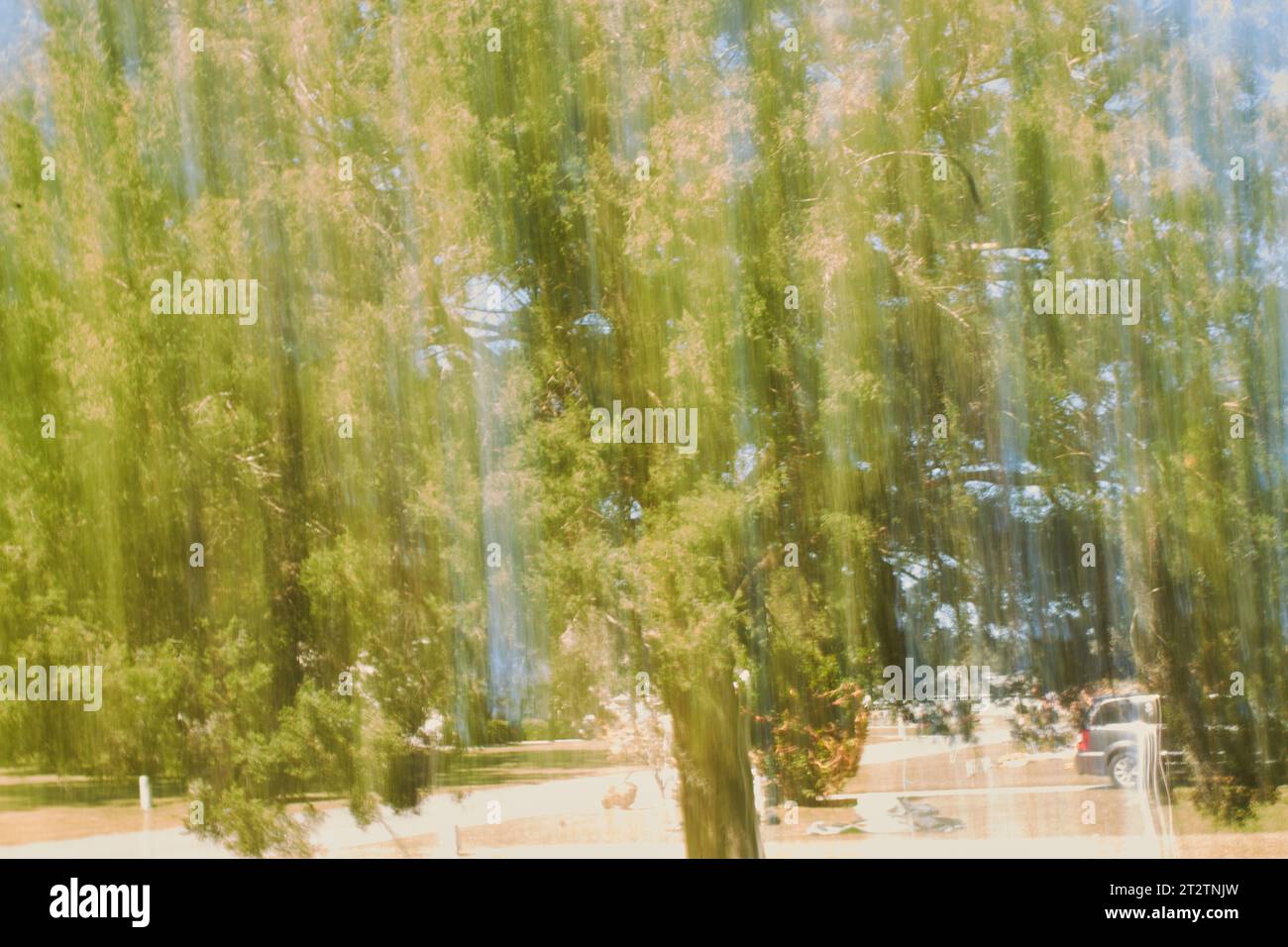 ICM-caméra intentionnelle photographie de mouvement, flou intentionnel !! Banque D'Images