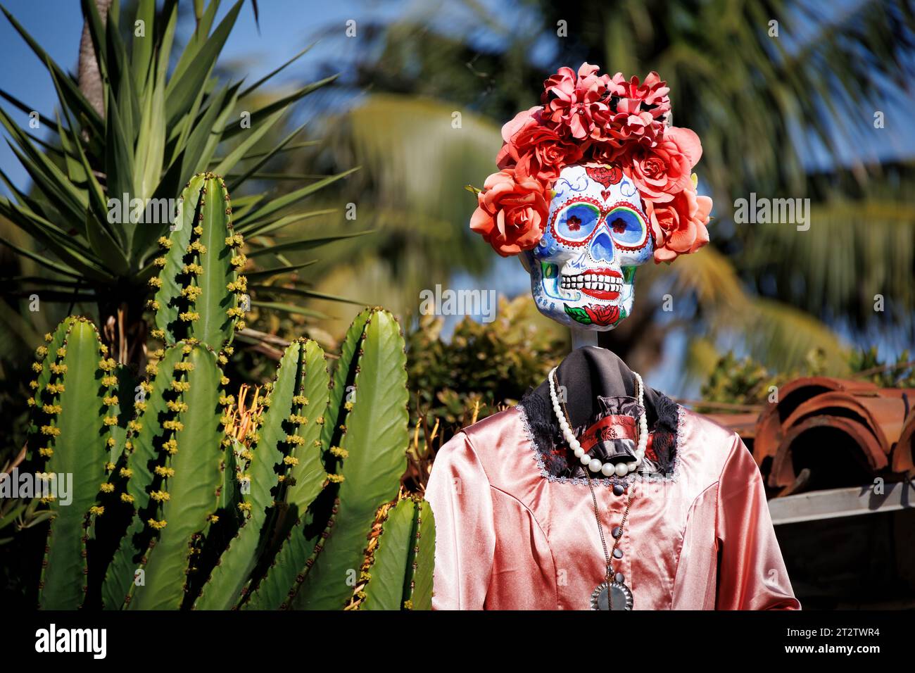A Day of the Dead Woman se dresse à côté d'un cactus dans la vieille ville de San Diego, en Californie. Banque D'Images