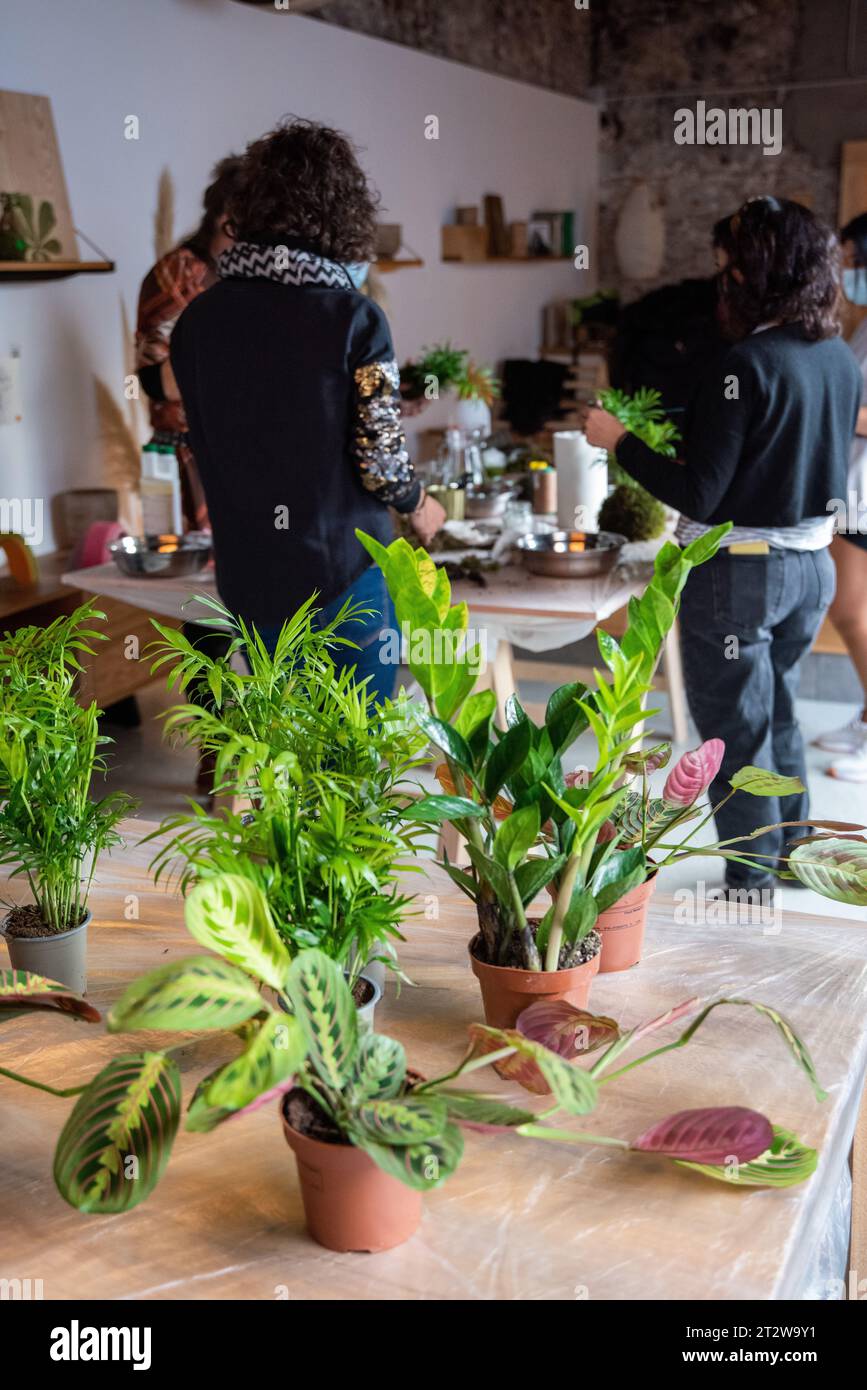 Dans cette image vibrante, un atelier de jardinage est présenté avec une variété de plantes au premier plan, tandis qu'un groupe de personnes se rassemble dans un backg animé Banque D'Images