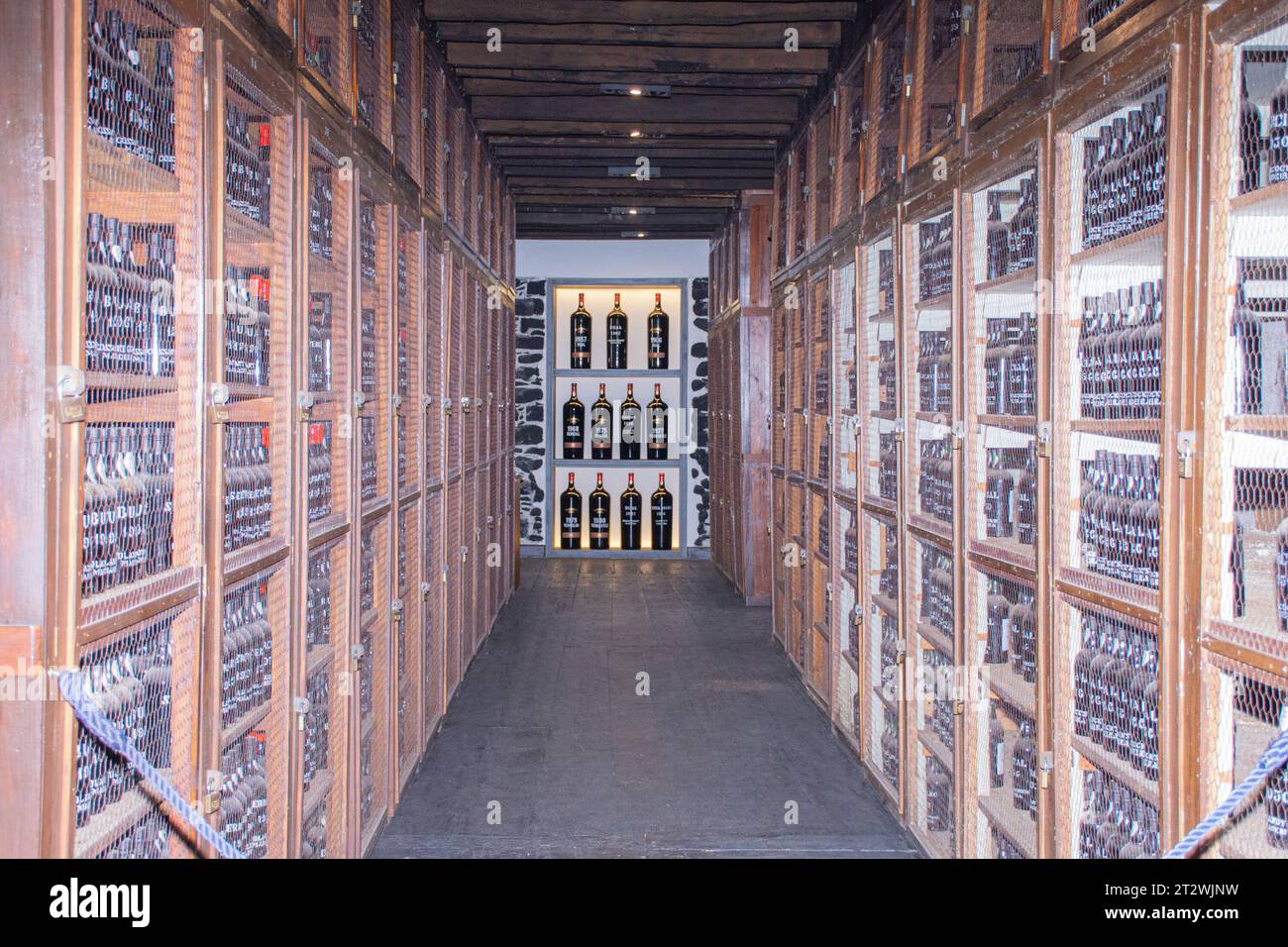 Intérieur de cave à vin avec des bouteilles de vin sur des étagères dans une rangée dans la cour, ville de Funchal sur l'île de Madère, Portugal Banque D'Images