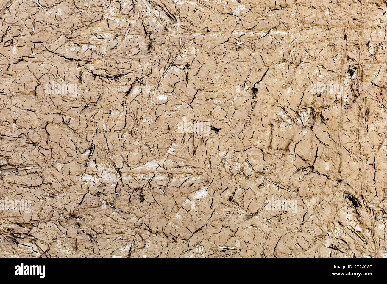 Fond en plâtre texturé pour créer un fond ou des textures pour le design Banque D'Images