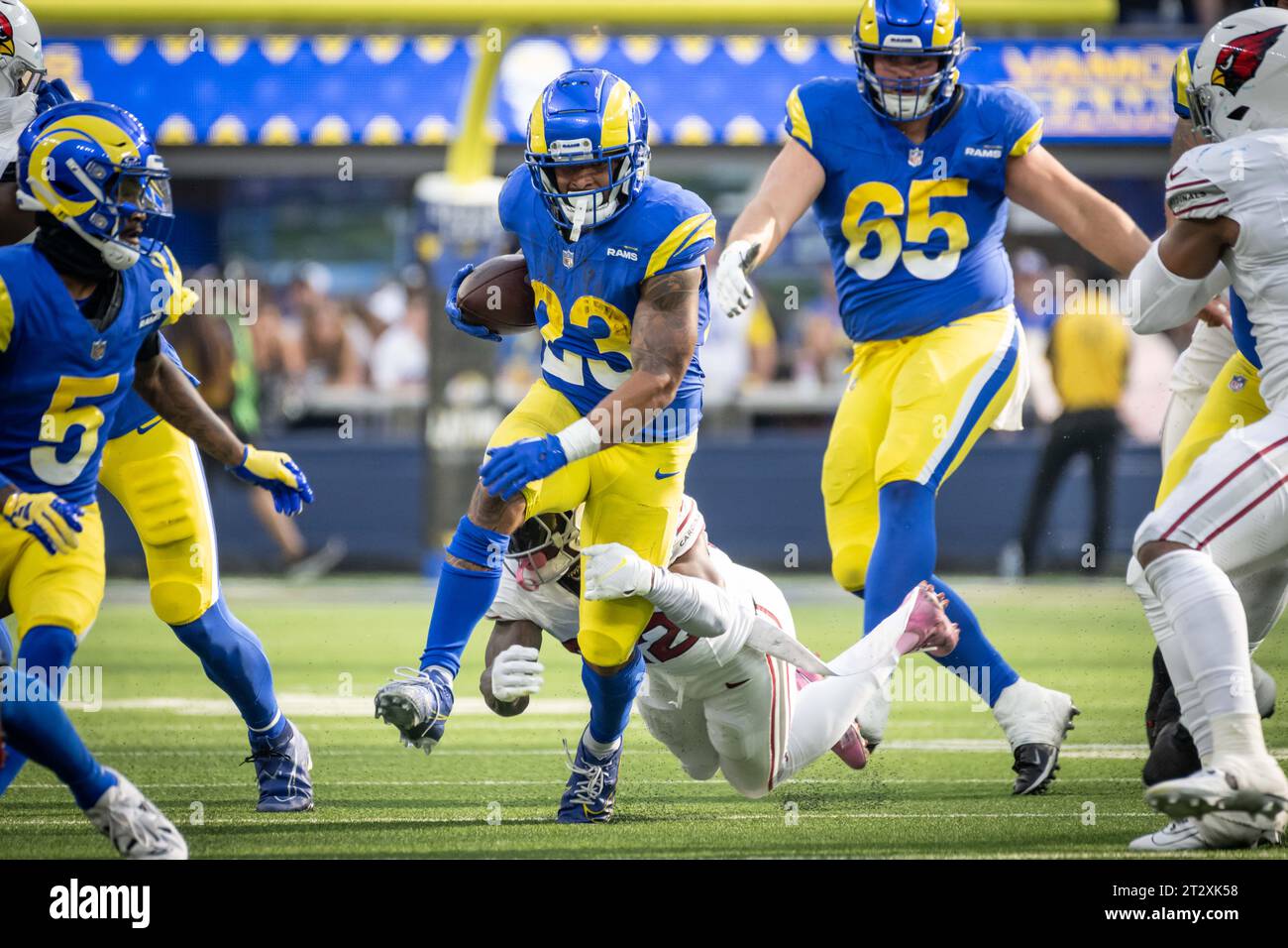 Dos de course des Rams de Los Angeles Kyren Williams (23 ans) court le ballon lors d'un match de football de la NFL contre les Cardinals de l'Arizona. Les Rams ont battu les Cardinaux 26 à 9 dimanche, le 15 octobre 2023, à Inglewood, Calif (Ed Ruvalcaba/image of Sport) Banque D'Images