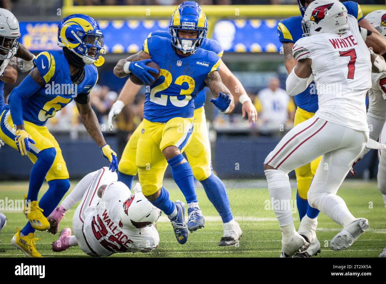 Dos de course des Rams de Los Angeles Kyren Williams (23 ans) court le ballon lors d'un match de football de la NFL contre les Cardinals de l'Arizona. Les Rams ont battu les Cardinaux 26 à 9 dimanche, le 15 octobre 2023, à Inglewood, Calif (Ed Ruvalcaba/image of Sport) Banque D'Images