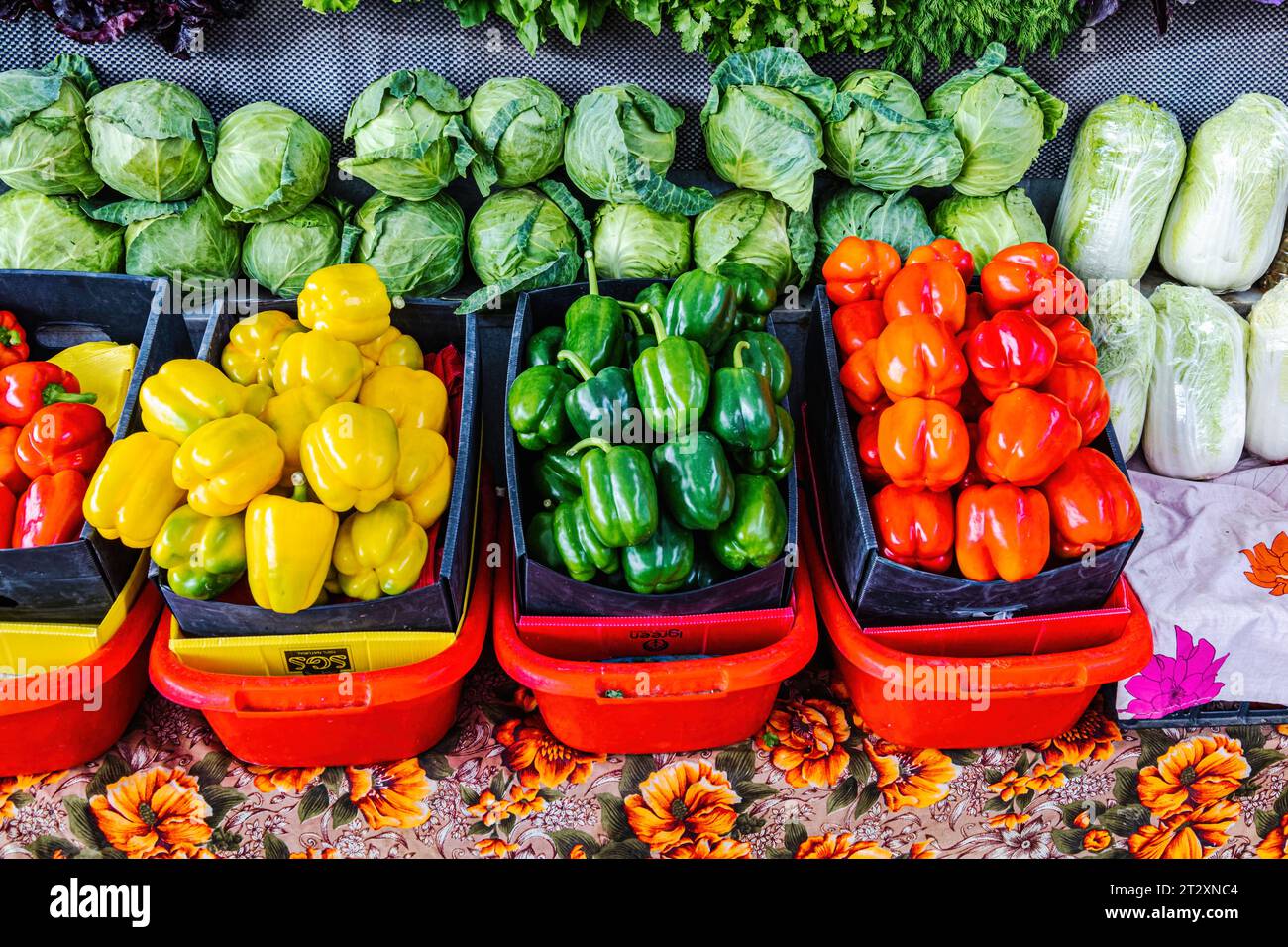 Les légumes sont une source de nutrition pour les végétaliens Banque D'Images