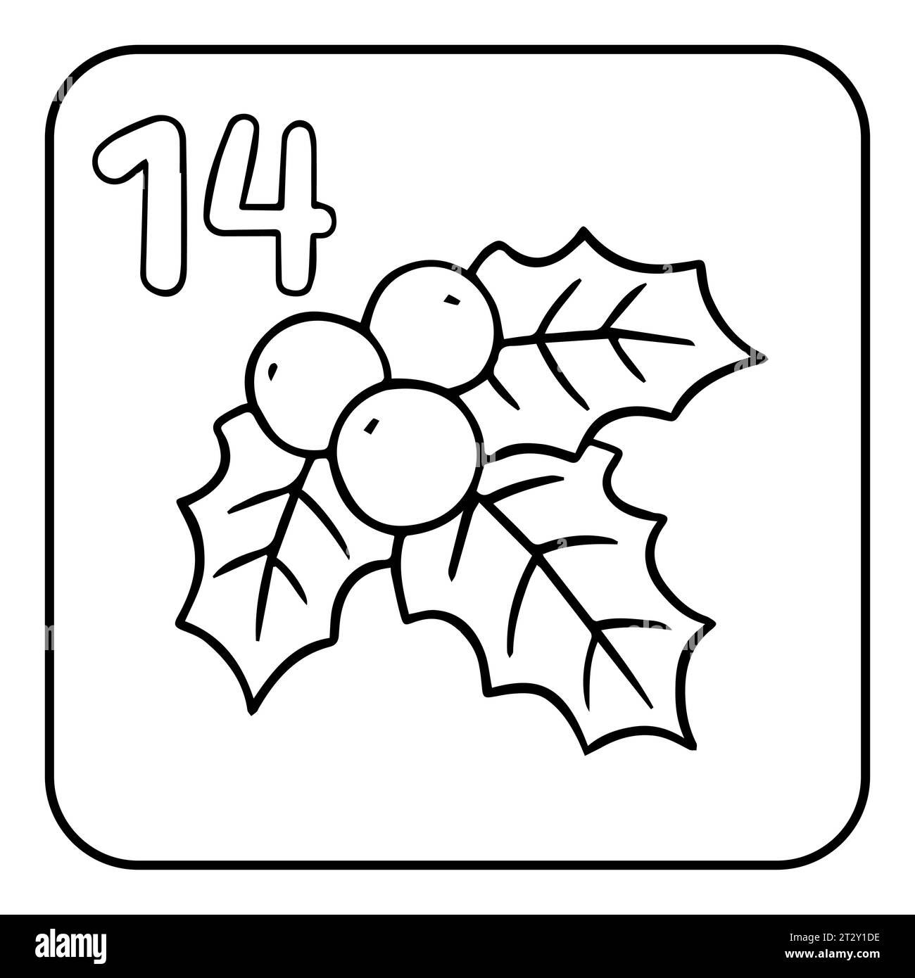 Calendrier de l'AVENT à colorier de Noël. Illustration de houx dessinée