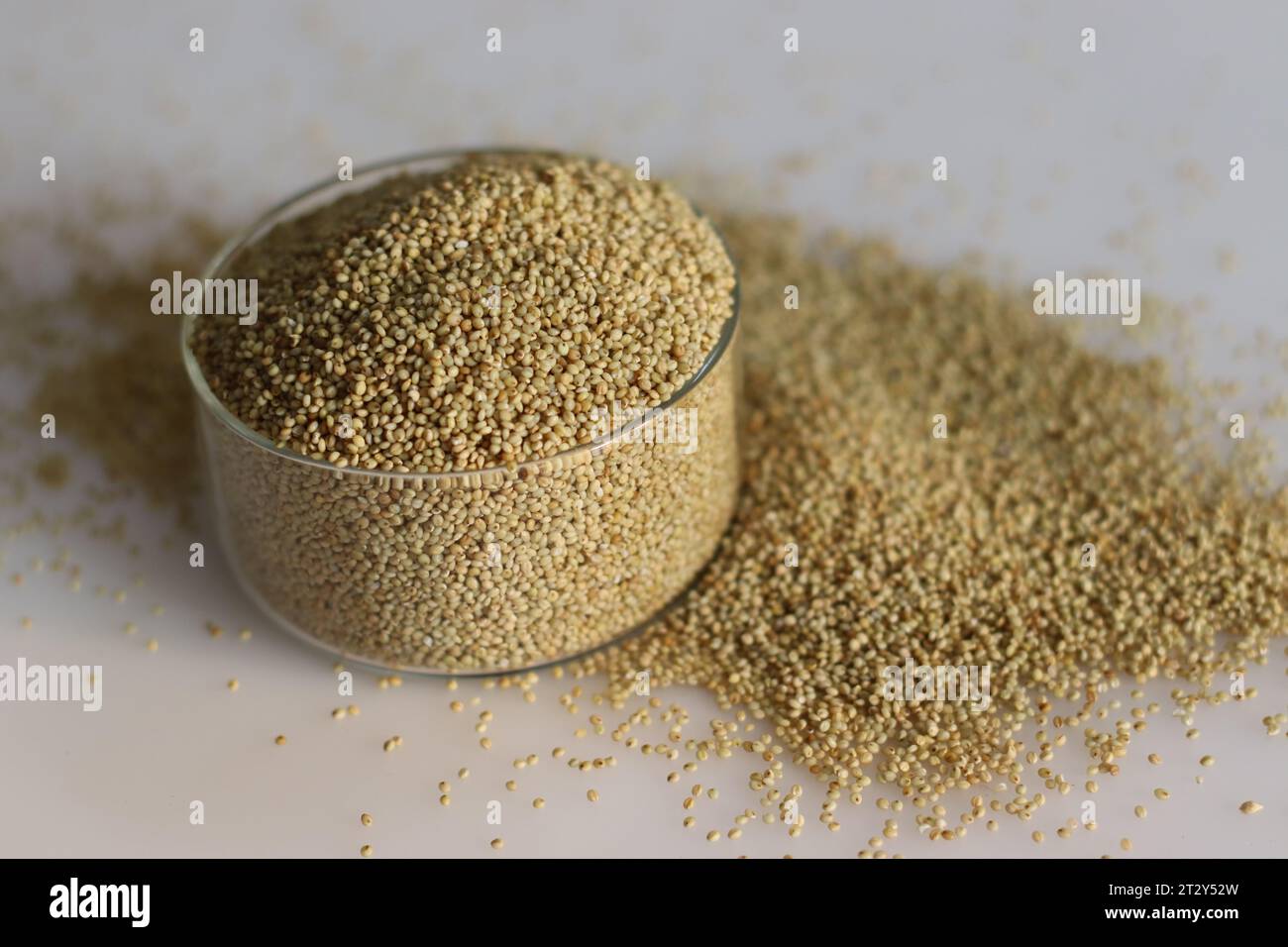 Gros plan de grains de millet brun dans un bol en verre immaculé rempli à ras bord, mettant en valeur ses grains sains, idéal pour illustrer une alimentation saine, Banque D'Images