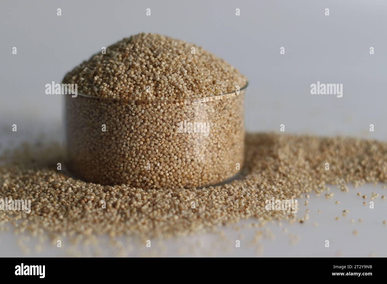 Gros plan de millet de banyard, un grain sain, dans un bol en verre rempli à bord, pour mettre en valeur les petits grains pâles de forme ronde avec une teinte dorée Banque D'Images