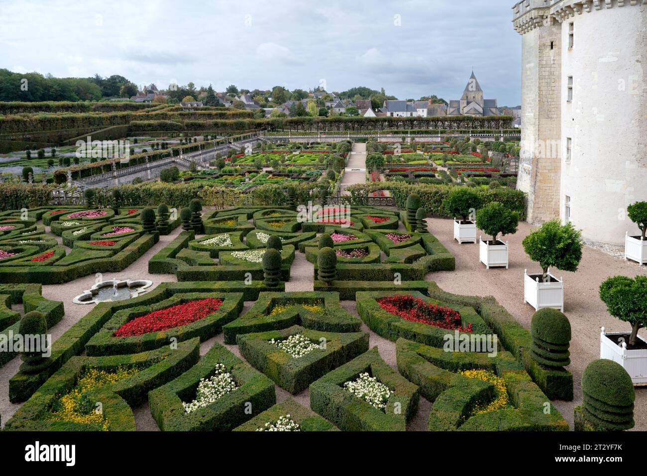 Jardins du château de Villandry dans le département de l'Indre-et-Loire .France 2015 vvbvanbree fotografie Banque D'Images