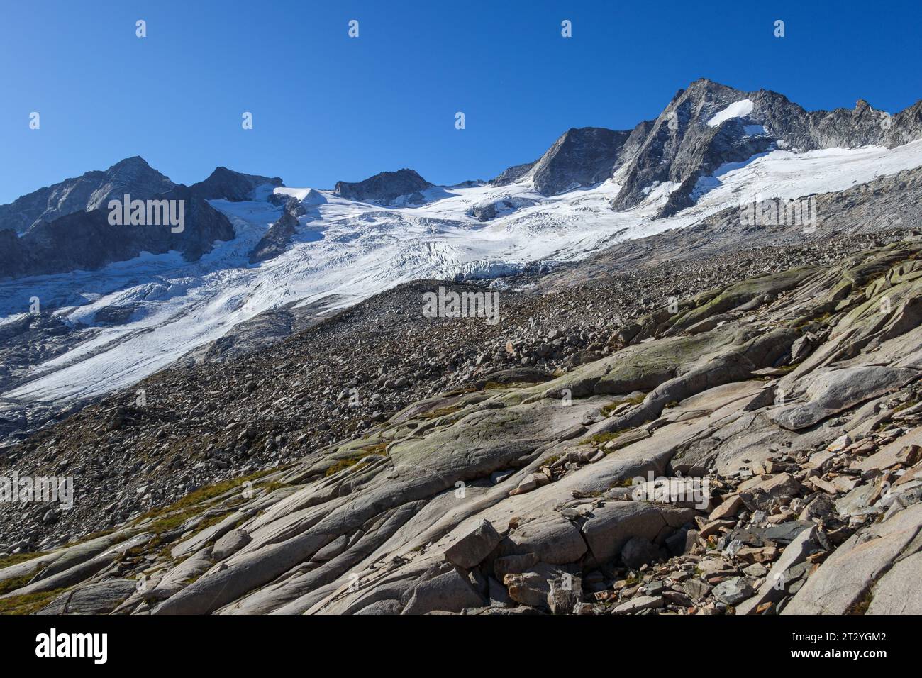 Vue sur le glacier Waxeggkees, roches polies. Vallée alpine de Zemmgrund. Alpes de Zillertal. Tyrol, Autriche, Europe. Banque D'Images