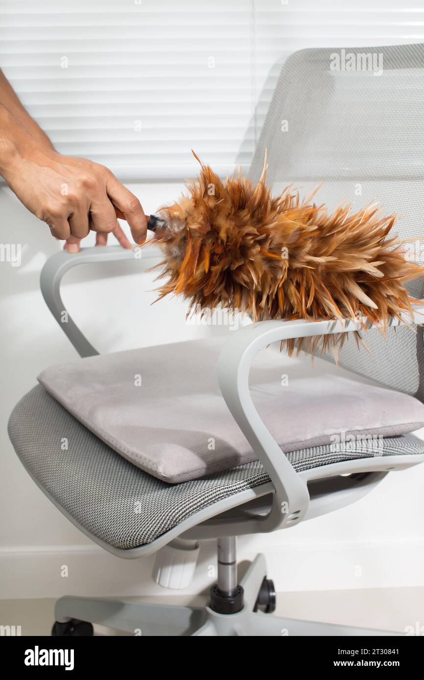 La main de l'homme utilise un plumeau de poulet pour nettoyer l'accoudoir d'une chaise grise. Banque D'Images