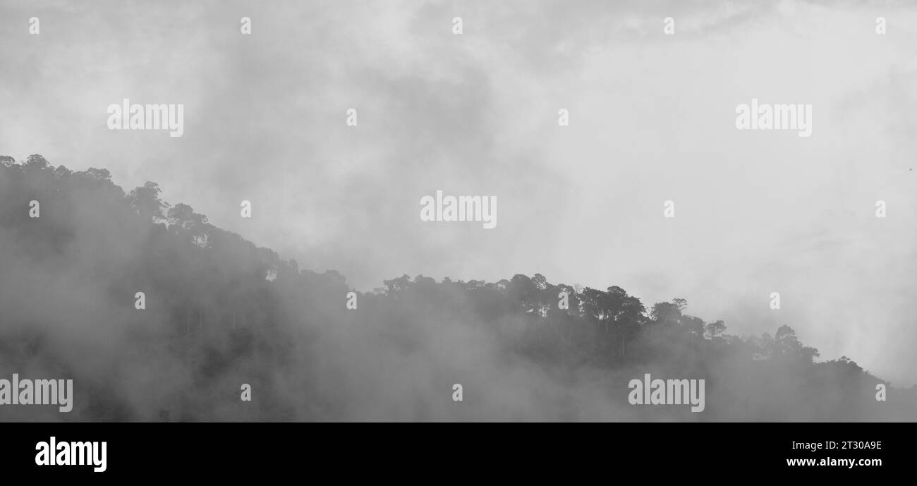 Paysage de montagne avec brume à la cascade de Nang rong en Thaïlande Banque D'Images