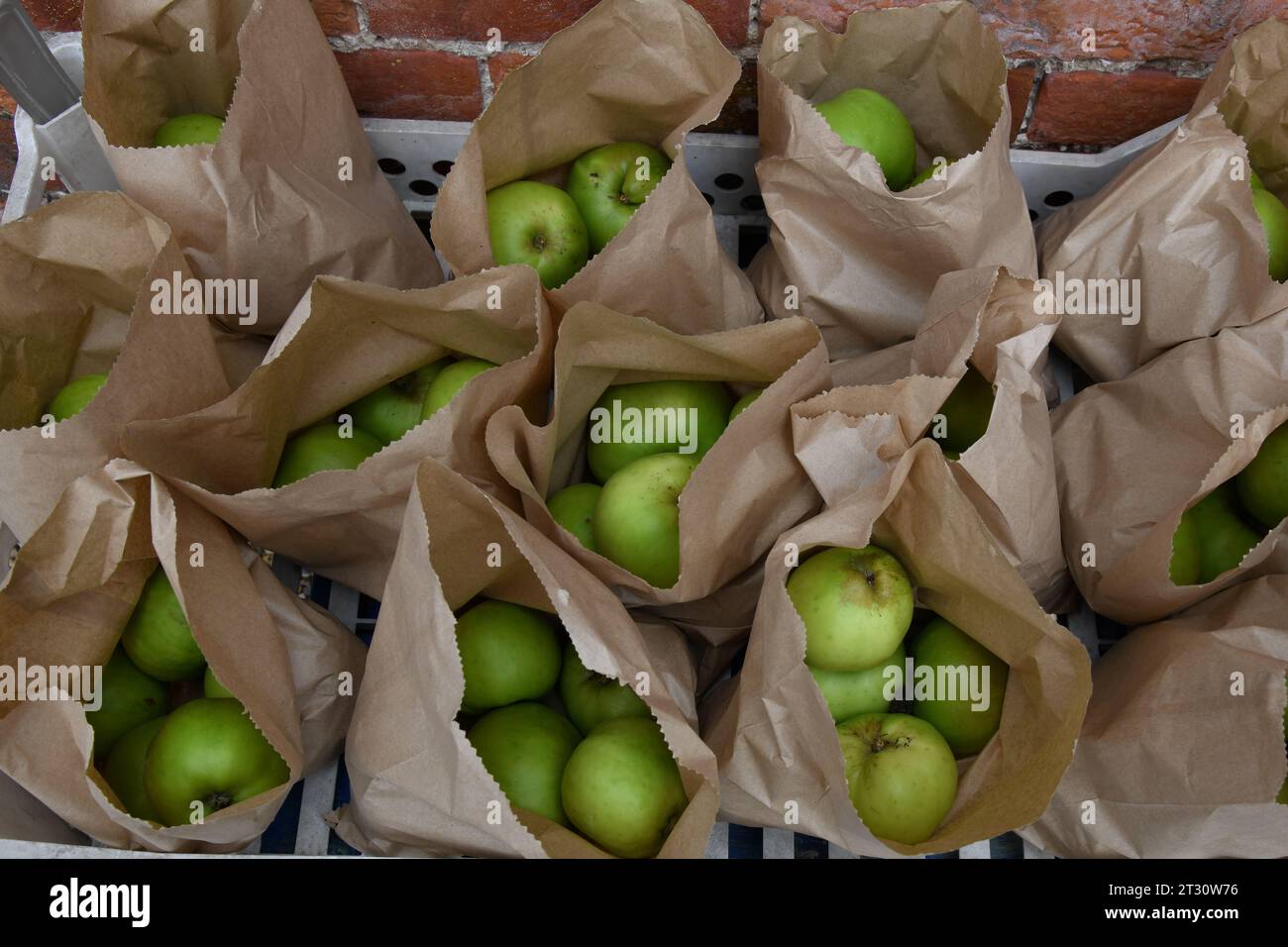 Pommes Bramley en sacs Banque D'Images