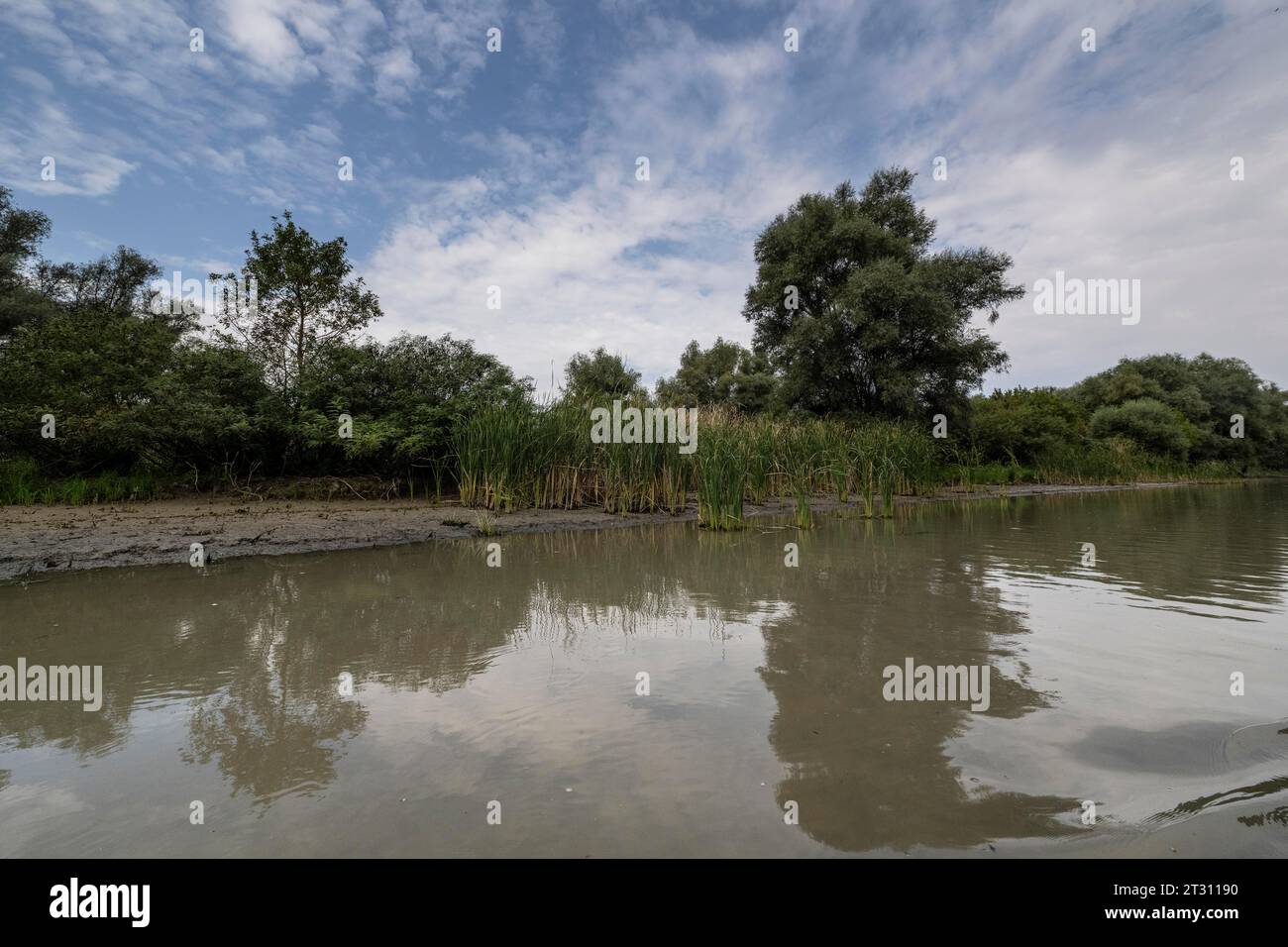 Paysage dans le delta du Danube, Roumanie, Europe Banque D'Images